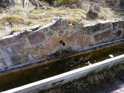 Fuente del Praororalejo - imagen 2