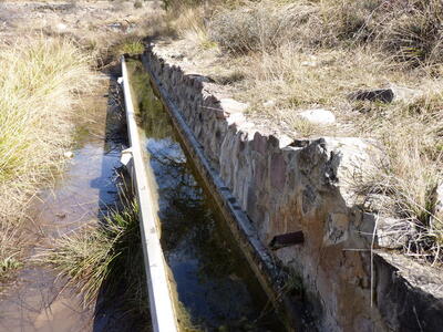 Fuente del Praororalejo - imagen 6