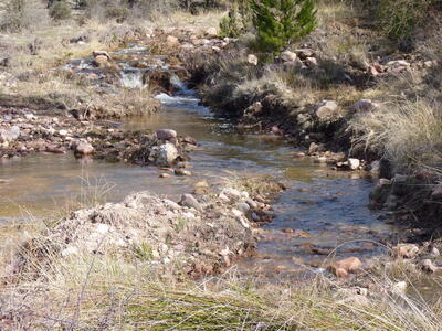 Fuente del Praororalejo - imagen 8