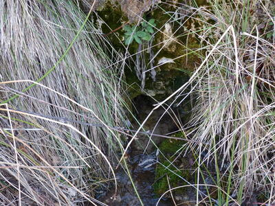 Fuente del Praororalejo - imagen 9