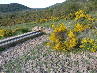 Sin nombre 15052021-1 - imagen 3