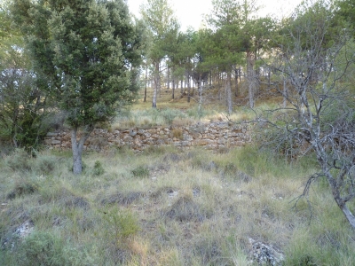 Fuente de las Calenturas - imagen 2