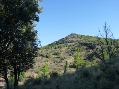 Fuente de las Calenturas - imagen 4