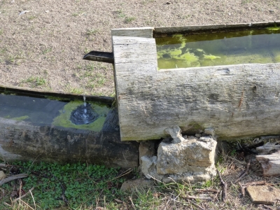 Fuente de la Canaleja - imagen 5