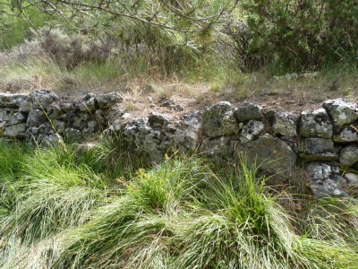 Fuente del Canalón - imagen 3