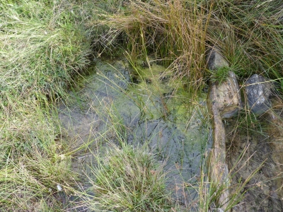 Fuente de las Dehesillas - imagen 3