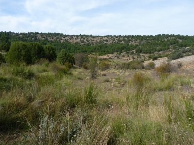 Fuente de las Dehesillas - imagen 5