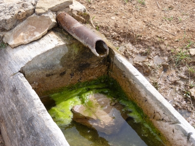 Fuente del Enebrillo - imagen 3