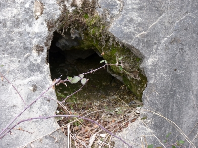 Nacimiento del río Henarrubia - imagen 1
