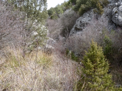 Nacimiento del río Henarrubia - imagen 8