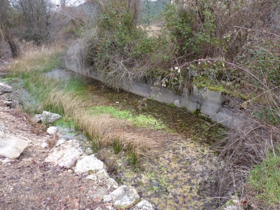Nacimiento Río Mayor del Molinillo - imagen 3