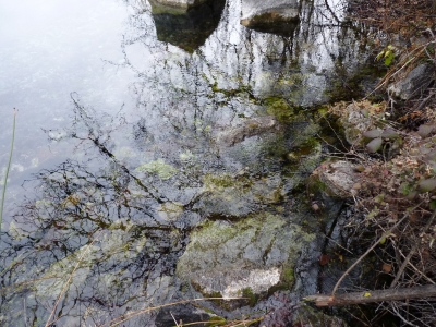 Nacimiento Río Mayor del Molinillo - imagen 8