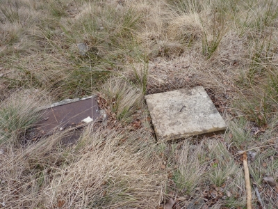 Fuente de los Olmos - imagen 2