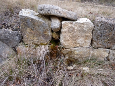 Fuente del Piojo - imagen 1