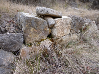 Fuente del Piojo - imagen 2