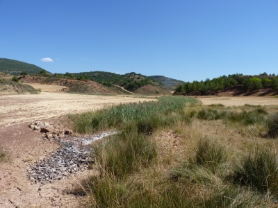 Pozo Redondo - imagen 3