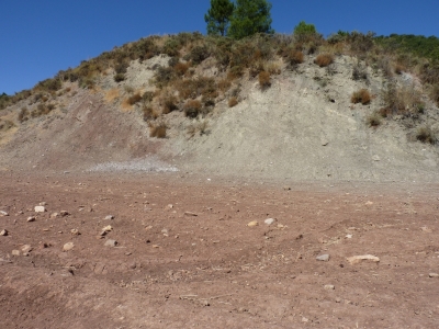 Pozo Redondo - imagen 6