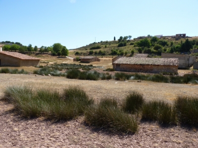 El Salero - imagen 8
