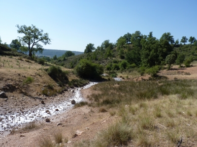 Las Salinillas - imagen 7