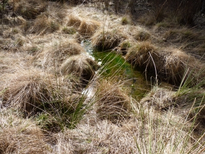 Fuente el Solanizo - imagen 1