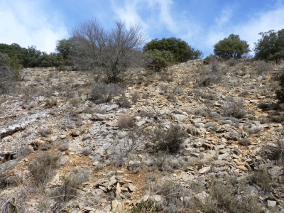 Fuente el Solanizo - imagen 6