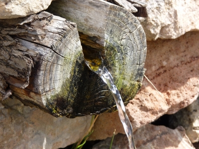 Fuente del Tornajillo - imagen 9