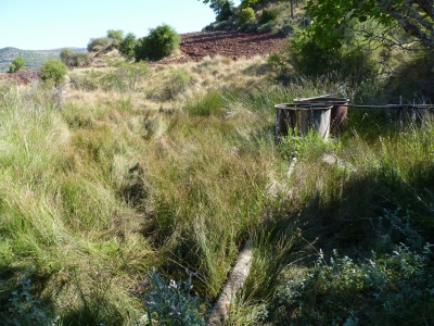 Fuente de la Umbría - imagen 3
