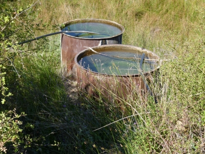 Fuente de la Umbría - imagen 4
