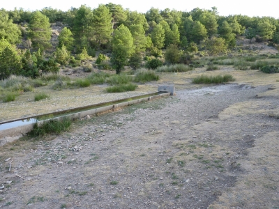 Fuente del Collado de los Quiñones - imagen 1