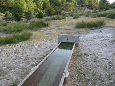 Fuente del Collado de los Quiñones - imagen 2