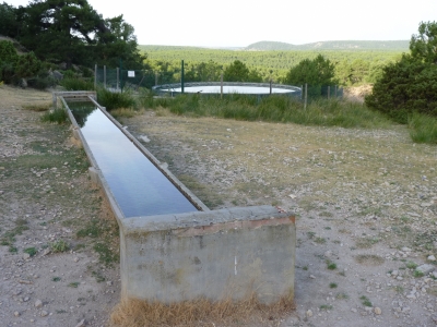 Fuente del Collado de los Quiñones - imagen 4
