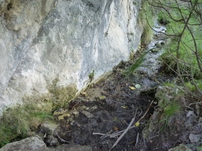 Fuente del Hoyo - imagen 3