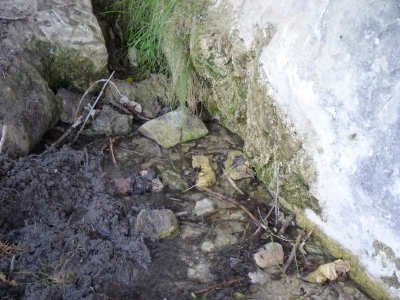 Fuente del Hoyo - imagen 5