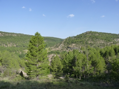Fuente de la Peña Maristeban - imagen 6