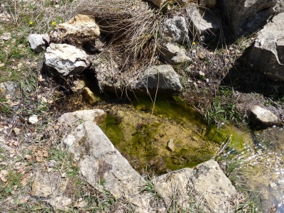 Fuente del Pino - imagen 1