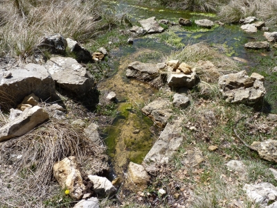 Fuente del Pino - imagen 4