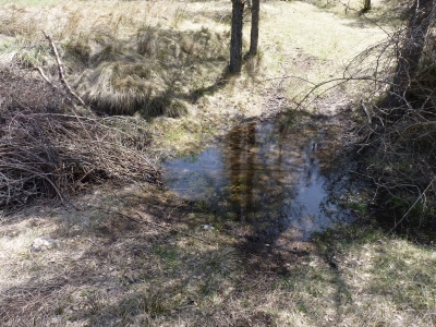 Fuente del Regajo I - imagen 1