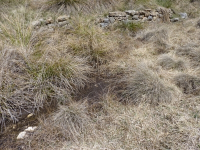 Fuente del Regajo II - imagen 2