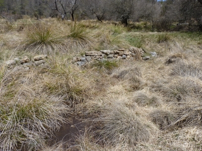 Fuente del Regajo II - imagen 3