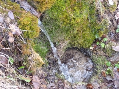 Fuente de la Tejería I - imagen 3