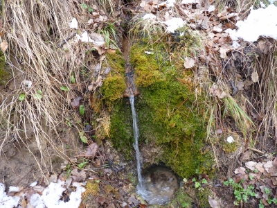 Fuente de la Tejería I - imagen 5