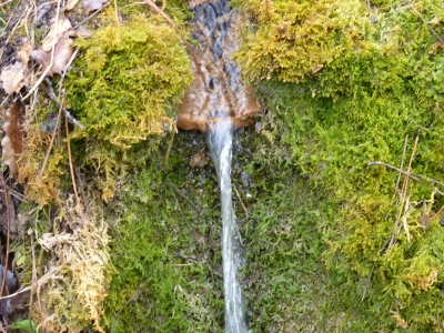 Fuente de la Tejería I - imagen 6
