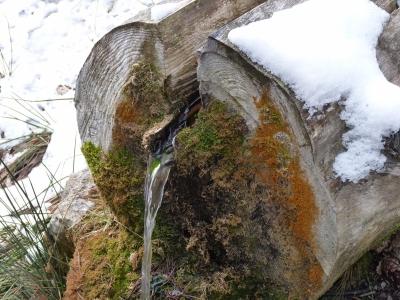 Fuente de la Tejería II - imagen 4