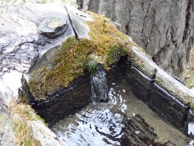 Fuente de la Tejería II - imagen 8