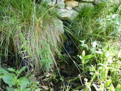 Fuente de Villar de García - imagen 1