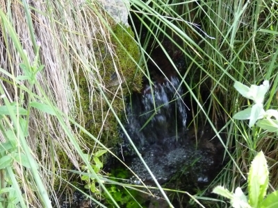 Fuente de Villar de García - imagen 2