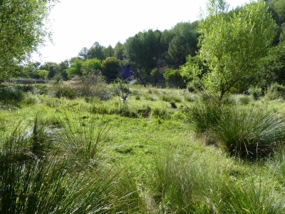 Fuente de Villar de García - imagen 4