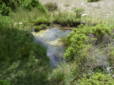 La Balsa - imagen 3