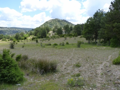 La Balsa - imagen 5