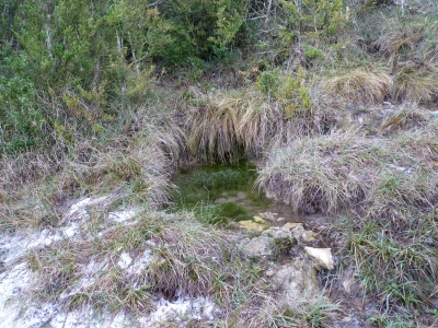 Fuente de las Cabras - imagen 2